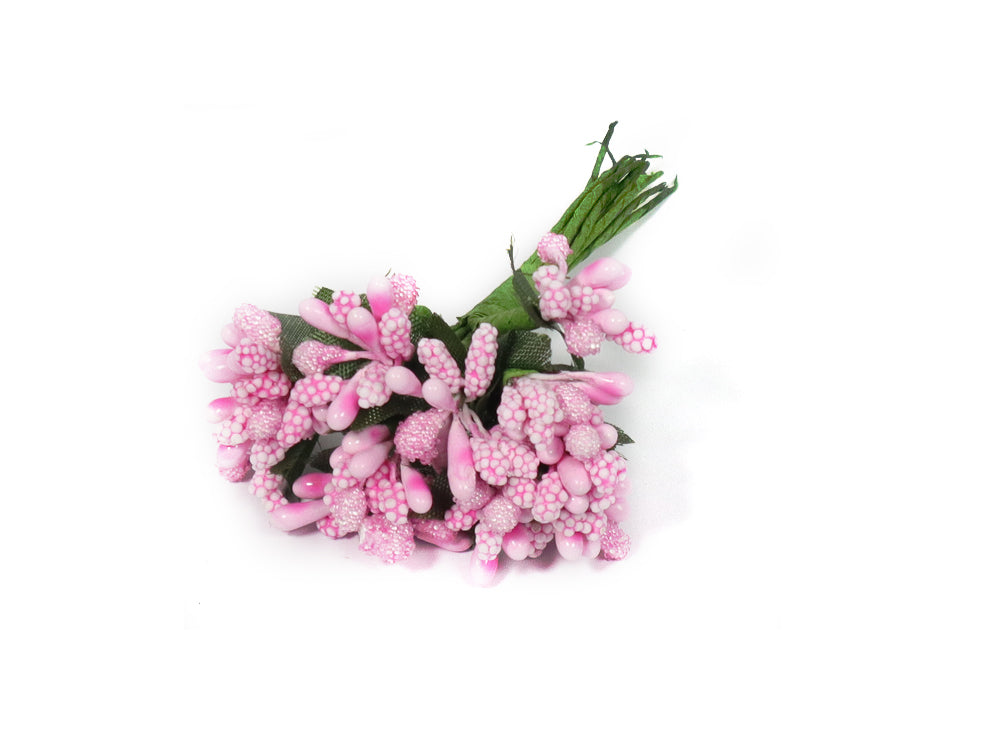 PISTILOS GRANDES 12 FLORES 2.5CM